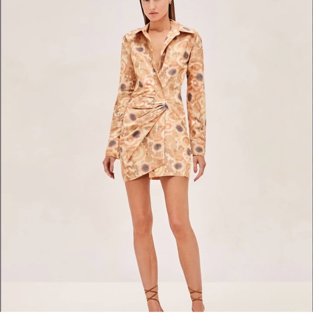 Alexis Nordeen Dress